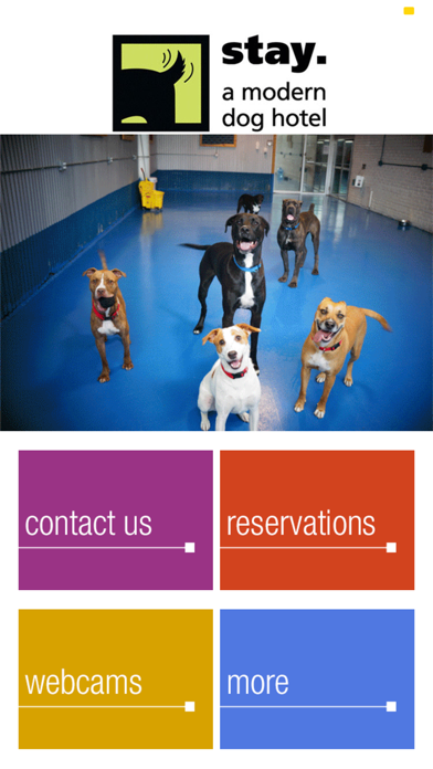 stay. a modern dog hotel Screenshot