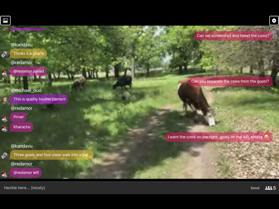 Screenshot #5 pour Heckle Live Streaming