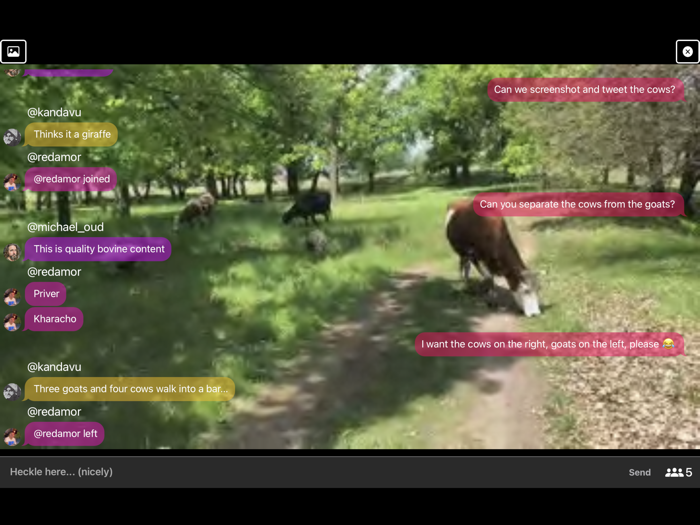 Heckle Live Streaming