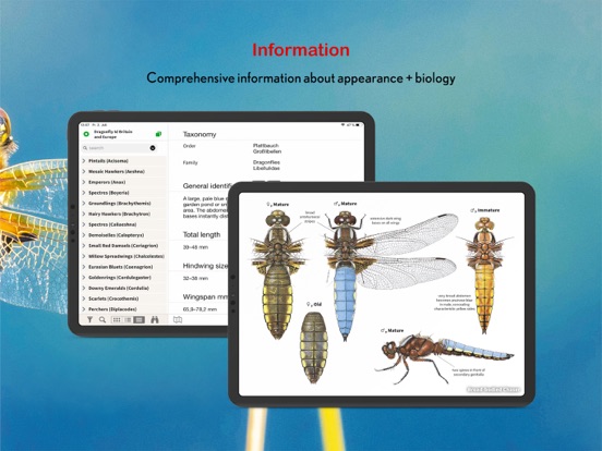 Dragonfly Id Britain & Europe iPad app afbeelding 10