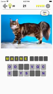 cats: photo-quiz about kittens iphone screenshot 1