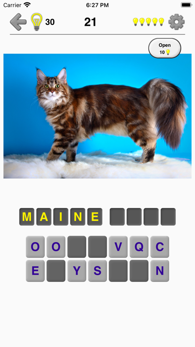 Cats Quiz screenshot 1
