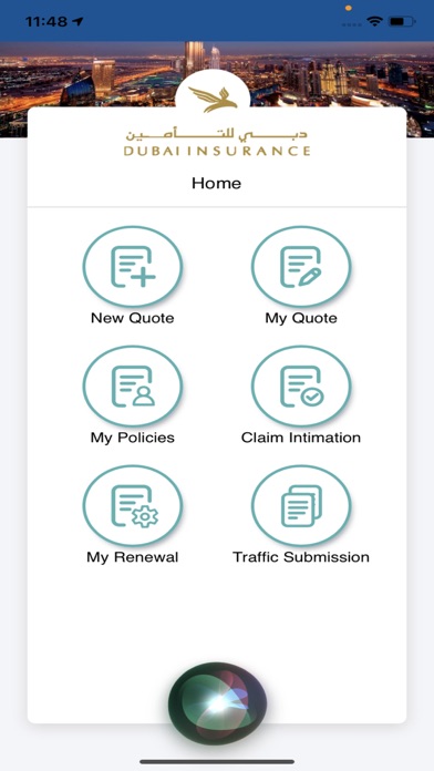Dubai Insurance Screenshot
