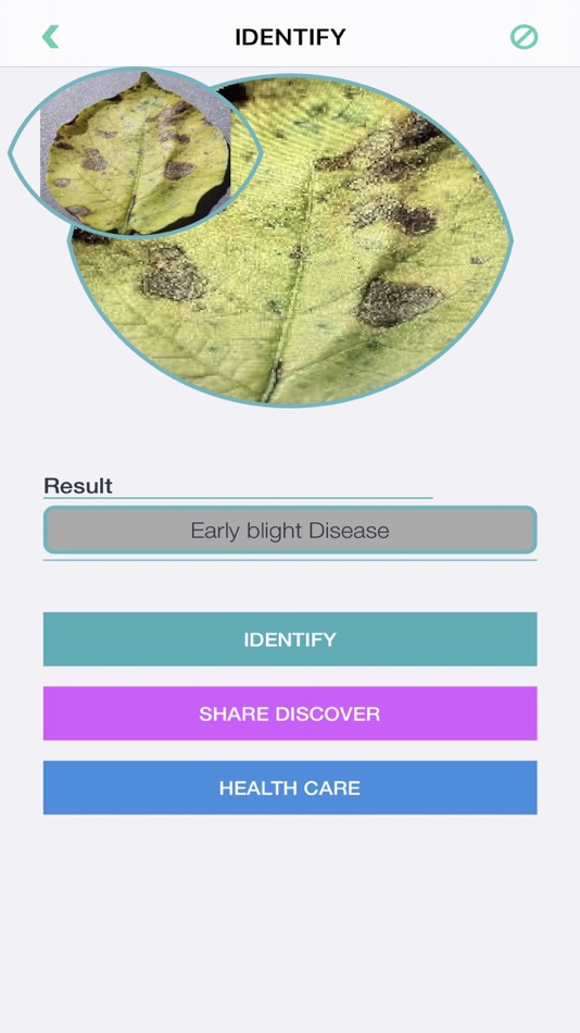 #6. Plants Diseases Identifier (iOS) 由: Jose Bello