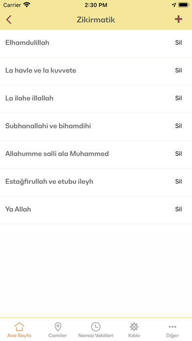 Namaz Vakitleri ve Camiler Screenshot