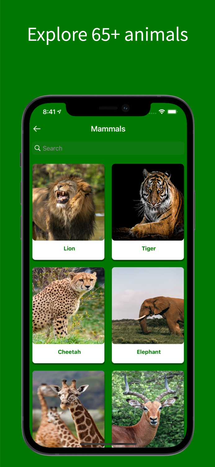 Virtual Jungle Safari