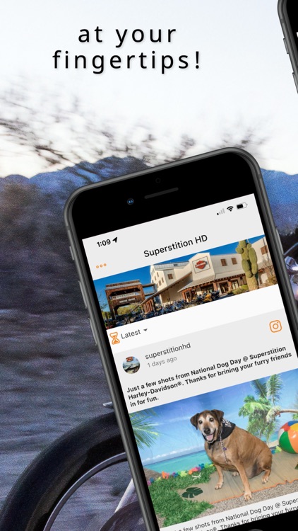 Everything Superstition HD