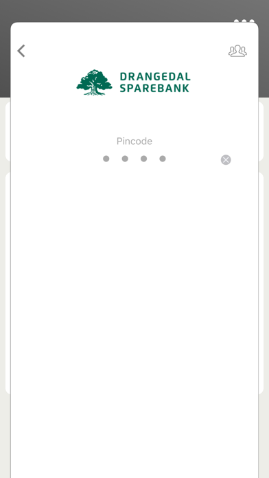 Drangedal Sparebank Bedrift. Screenshot