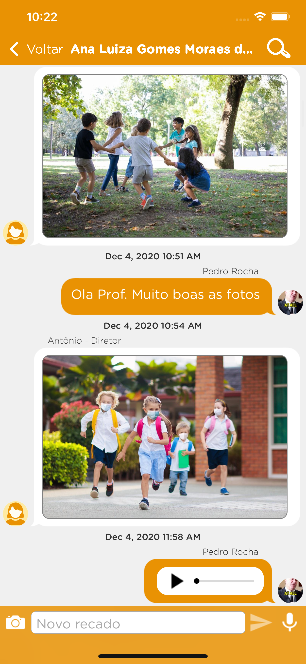 Favo de Mel