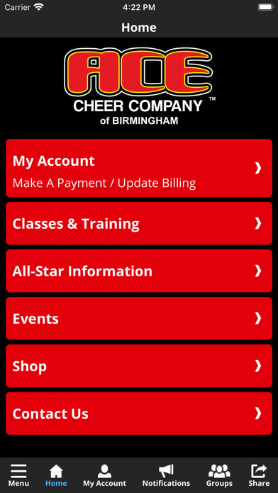 ACE Cheer Birmingham Screenshot