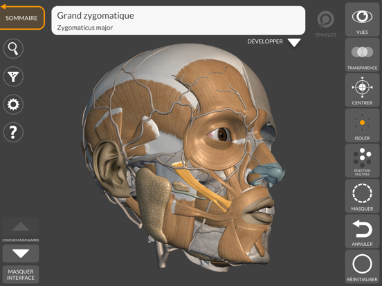 Screenshot #4 pour Anatomie 3D pour l'Artiste