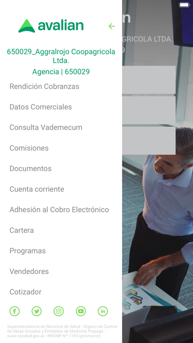 Avalian Agencias Screenshot