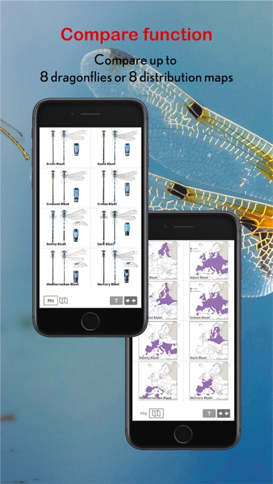 Dragonfly Id Britain & Europe Screenshot