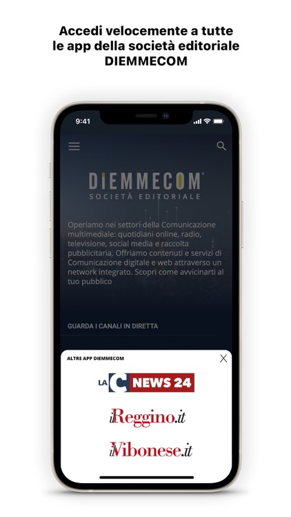 Diemmecom