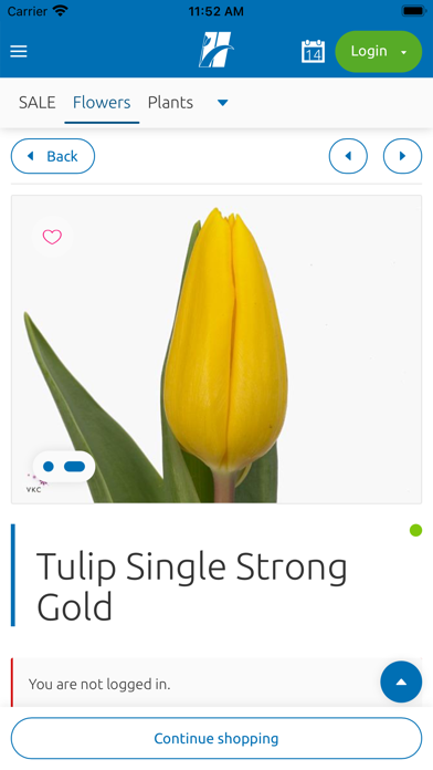 Heemskerk Flowers Screenshot