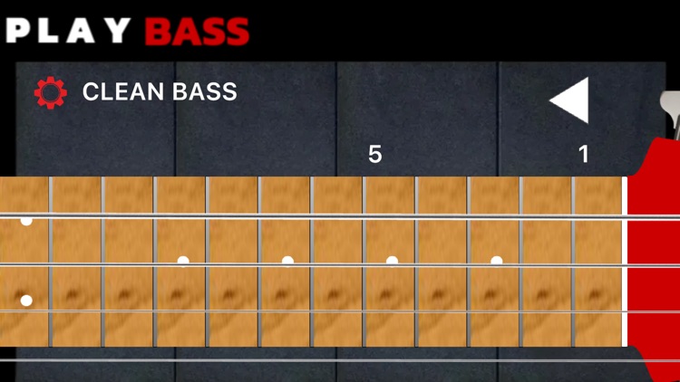 Play Bass: Real Bass Simulator screenshot-9