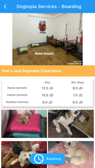 Dogtopia Jo Screenshot