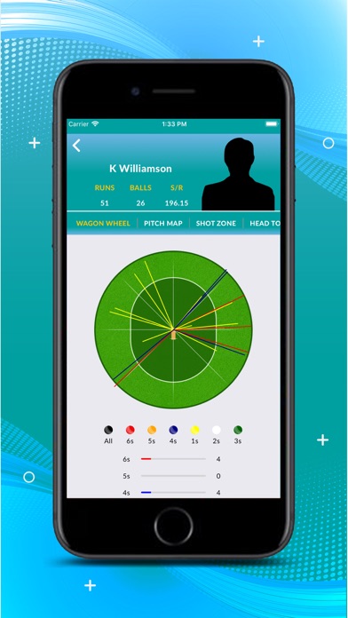 CRICKET 21 LIVE Screenshot