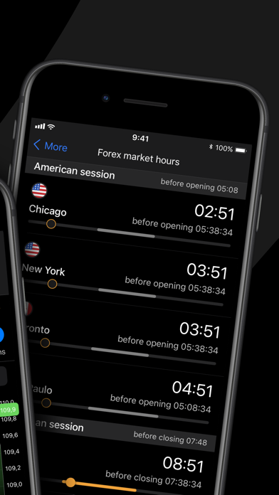 Forex Portal Screenshot