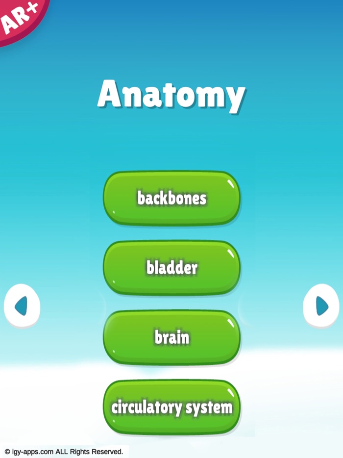 Anatomy AR 4D