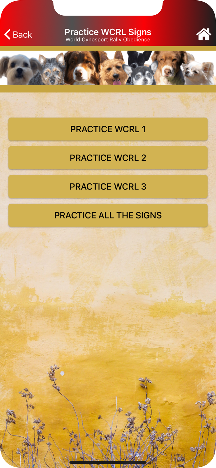 World CynoSport Rally Obedienc