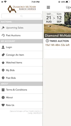 DiamondMcNabb screenshot 4