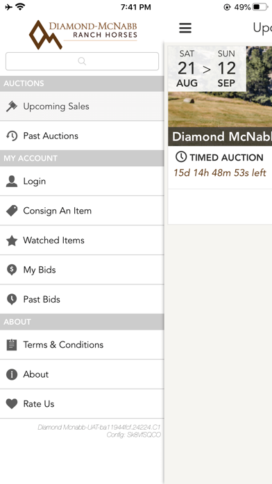 DiamondMcNabb Screenshot
