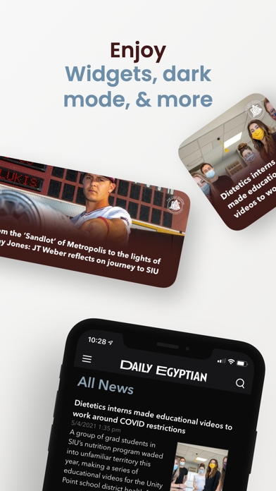 The Daily Egyptian Screenshot