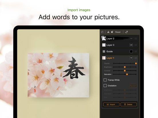 Zen Brush 3 iPad app afbeelding 6