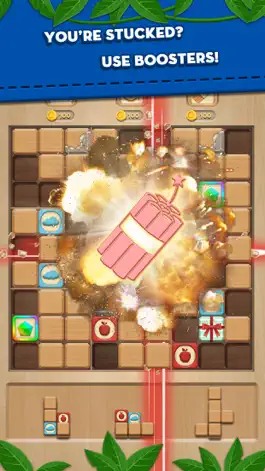 Game screenshot Wood Block Mania mod apk