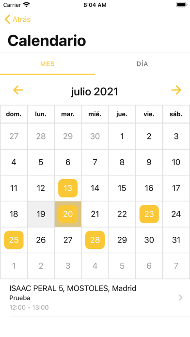 Organizador de Visitas Screenshot