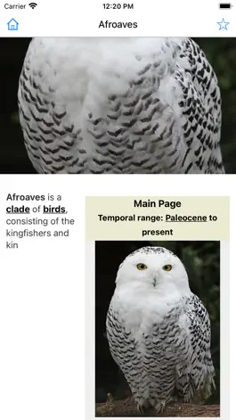 Game screenshot Encyclopedia of Birds hack