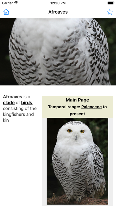 Encyclopedia of Birds Screenshot