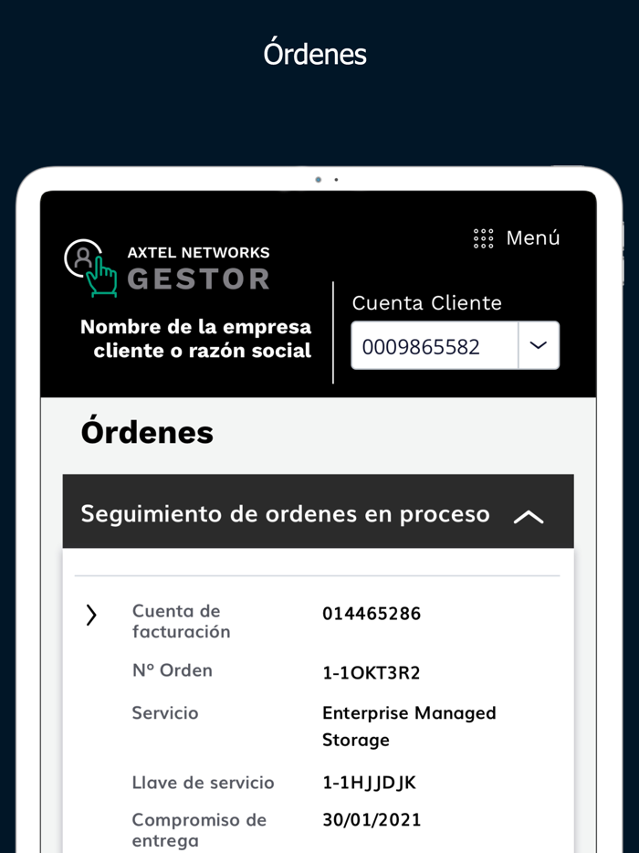 Axtel Networks Gestor