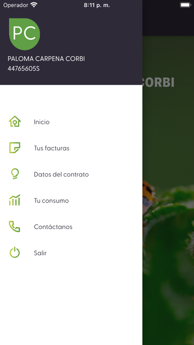 Ion Energía Screenshot