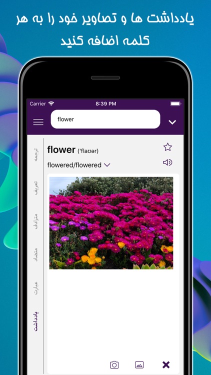 دانا: دیکشنری انگلیسی به فارسی screenshot-7