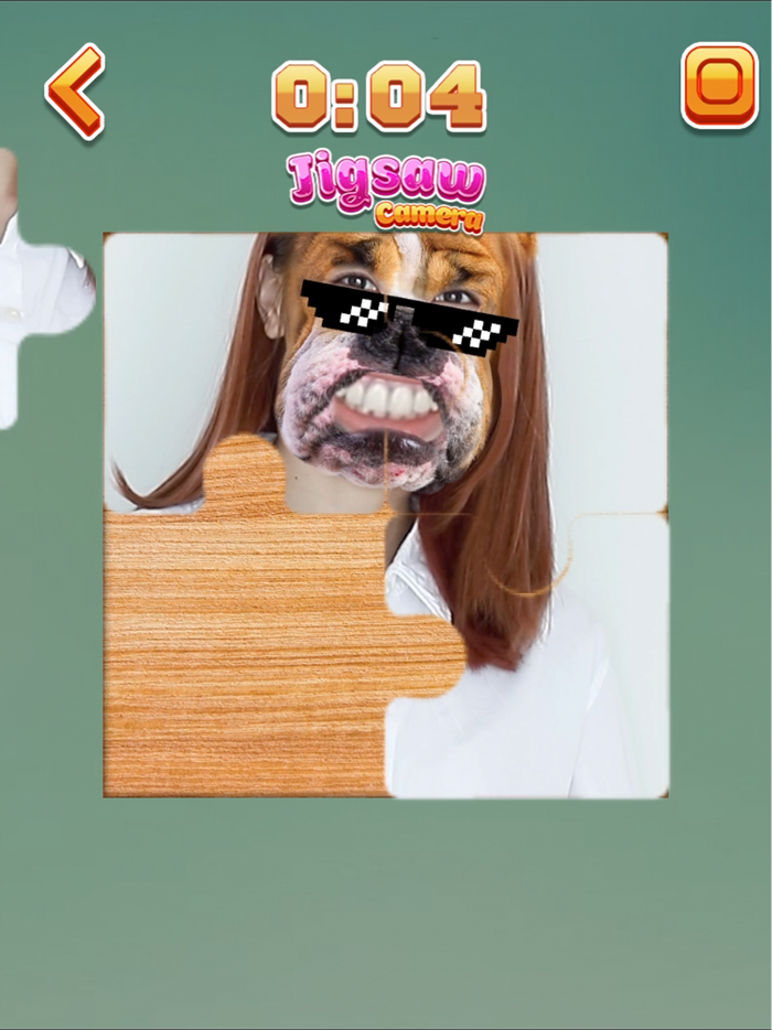 Jigsaw Camera Puzzles