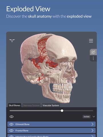 Head Atlasのおすすめ画像4