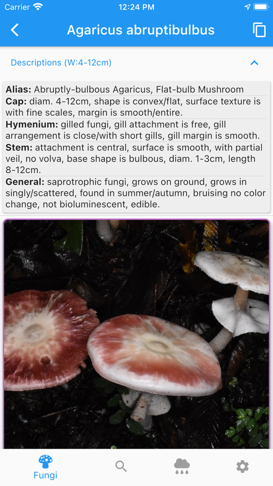 #3. Fungi Booklet (iOS) 由: FUSHEN HO