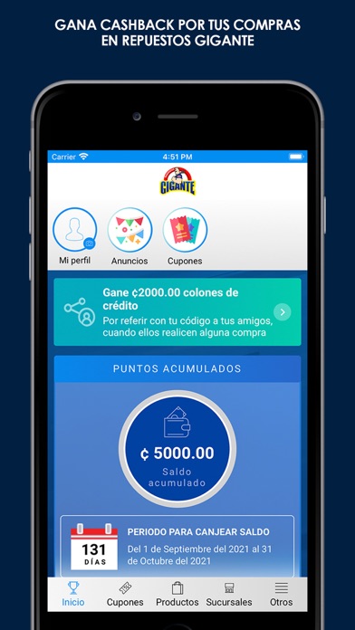 Repuestos Gigante Screenshot