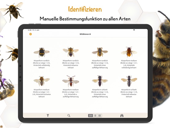 Wildbienen Id BienABestのおすすめ画像2