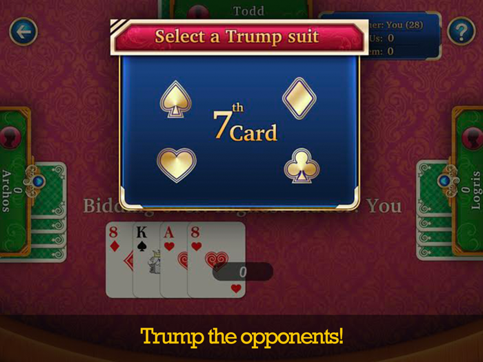 29 Card Game Offline Fun Game