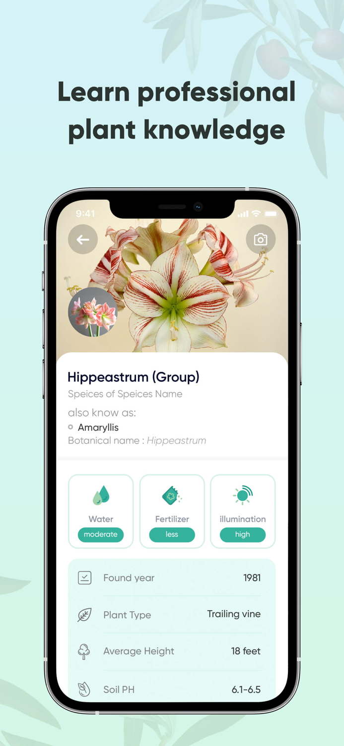 PLANTit - Plant Identifier