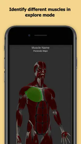 Game screenshot Anatomy Of Human Muscles apk
