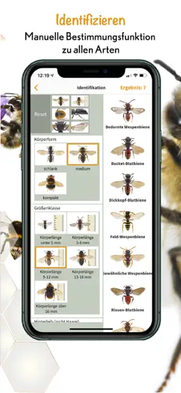 Game screenshot Wildbienen Id BienABest apk