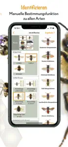 Wildbienen Id BienABest screenshot #2 for iPhone