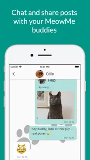 meowme - cat social network iphone screenshot 4