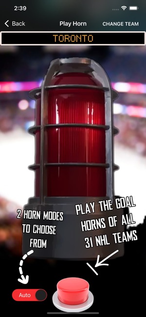 NHL Goal Light & Horn