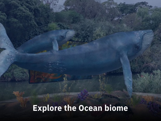 Screenshot #6 pour REWILD - AR Nature Series