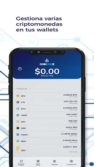 Coincoinx Screenshot